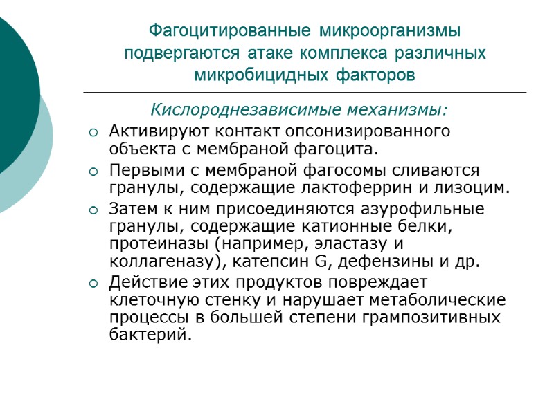 Фагоцитированные микроорганизмы подвергаются атаке комплекса различных микробицидных факторов      